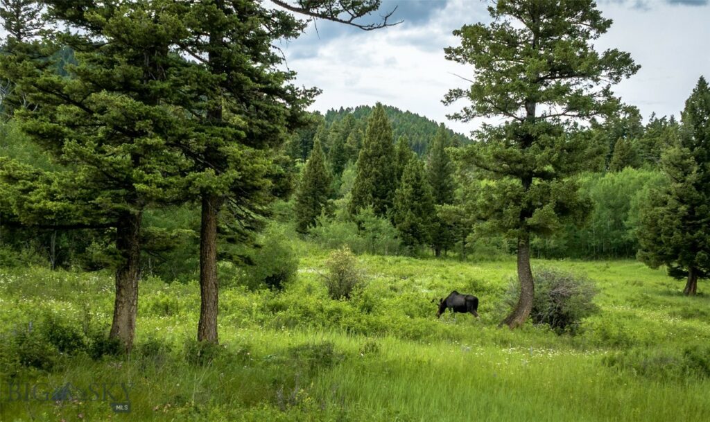 Ranch 11 North Pass Ranches, Bozeman MT 59715