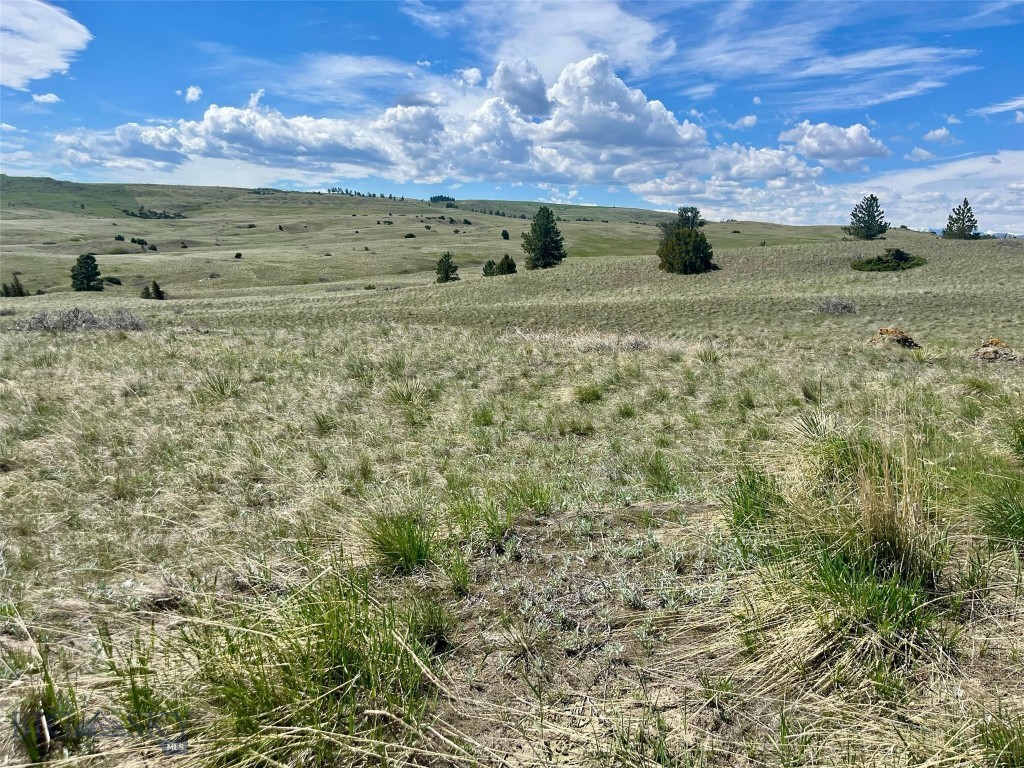 , Reed Point MT 59069