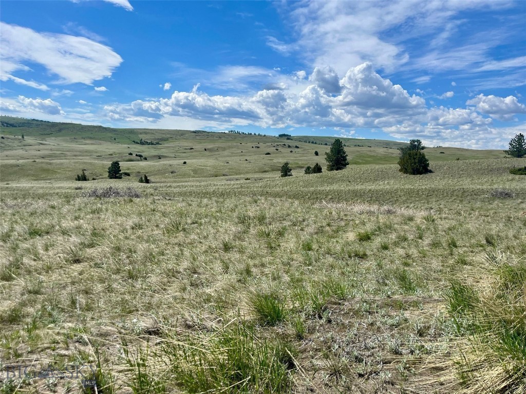 , Reed Point MT 59069