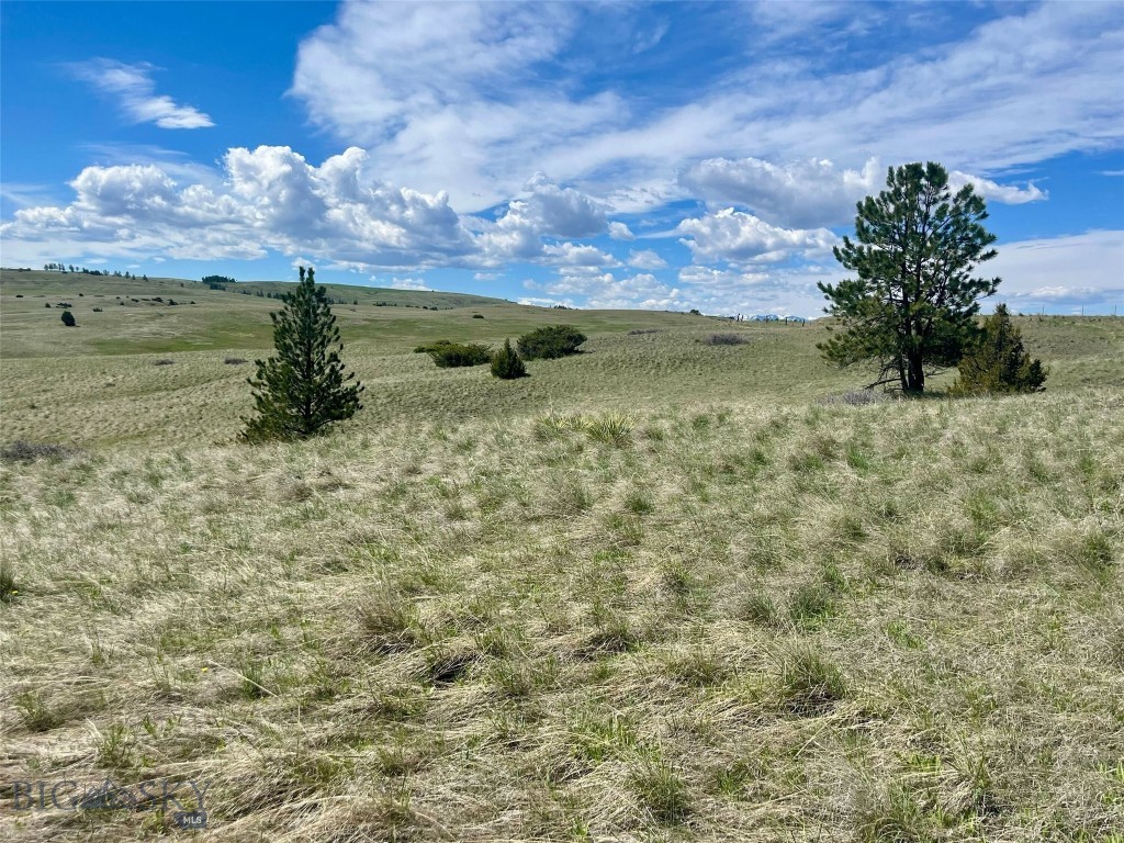 , Reed Point MT 59069