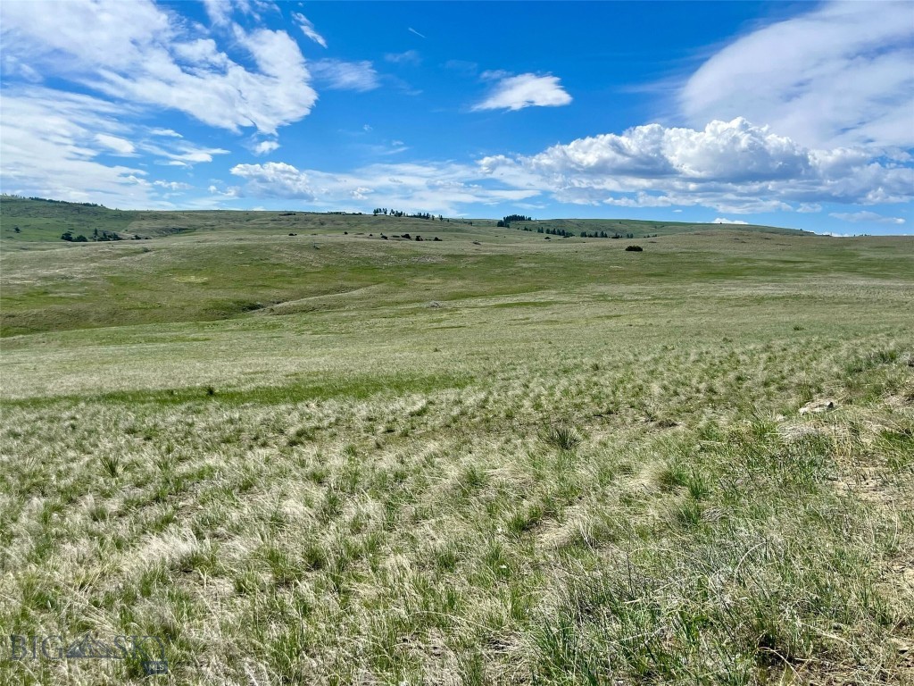 , Reed Point MT 59069