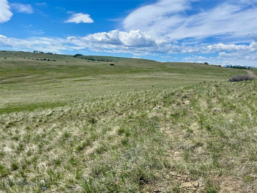 , Reed Point MT 59069