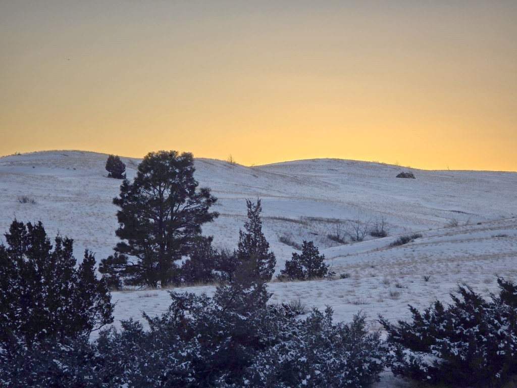 , Reed Point MT 59069