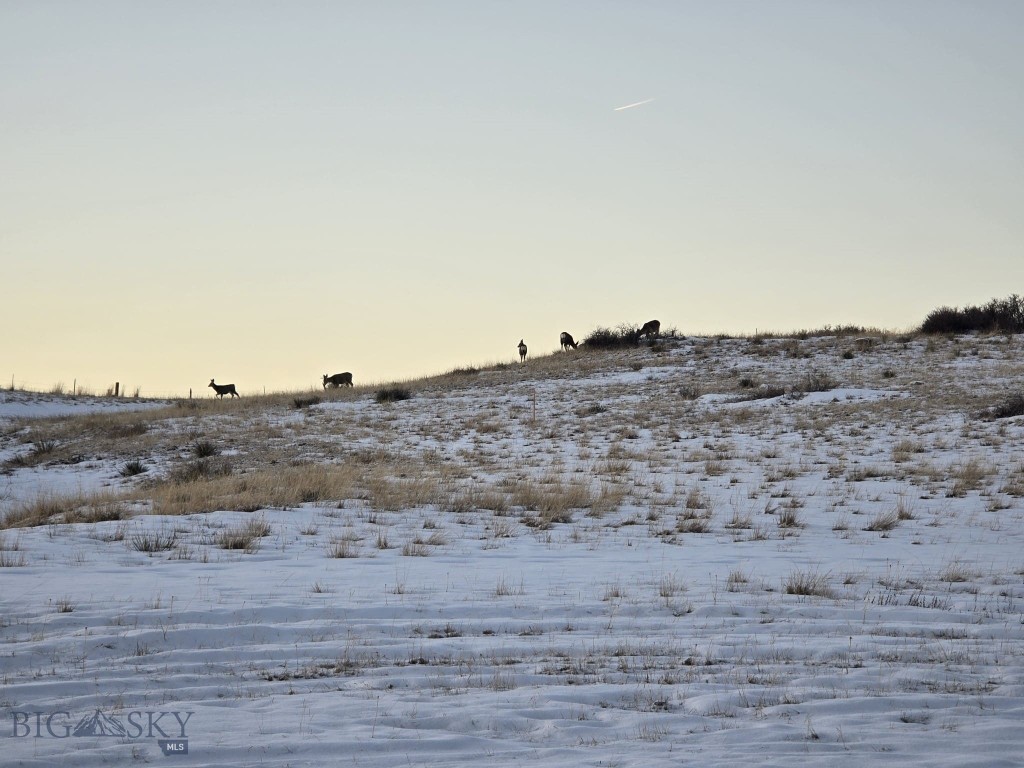 , Reed Point MT 59069