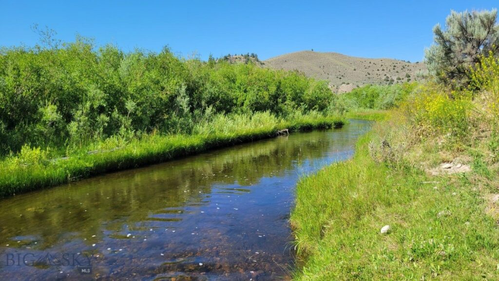 Rural Grasshopper Creek, Dillon MT 59725