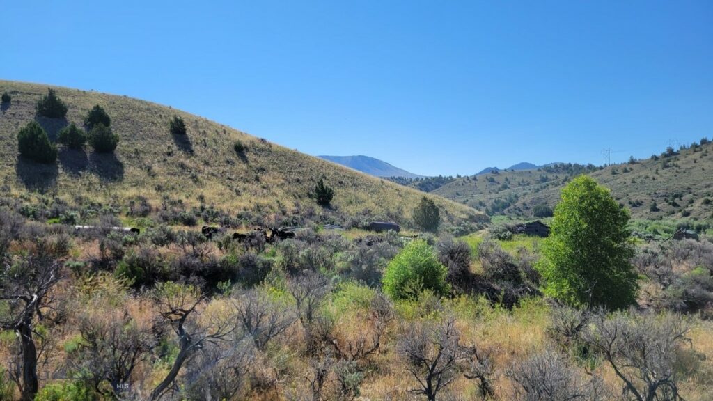 Rural Grasshopper Creek, Dillon MT 59725