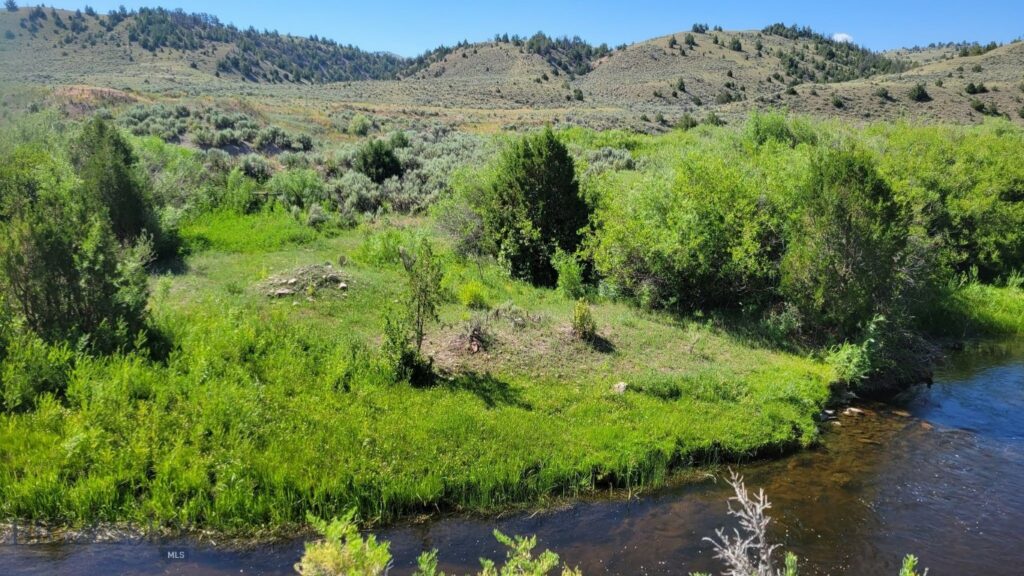 Rural Grasshopper Creek, Dillon MT 59725