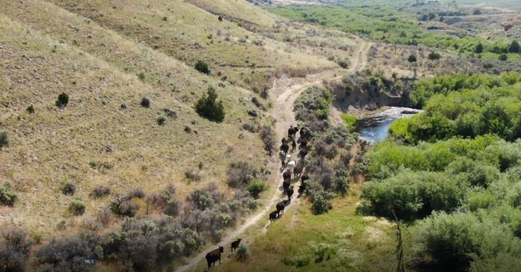 Rural Grasshopper Creek, Dillon MT 59725