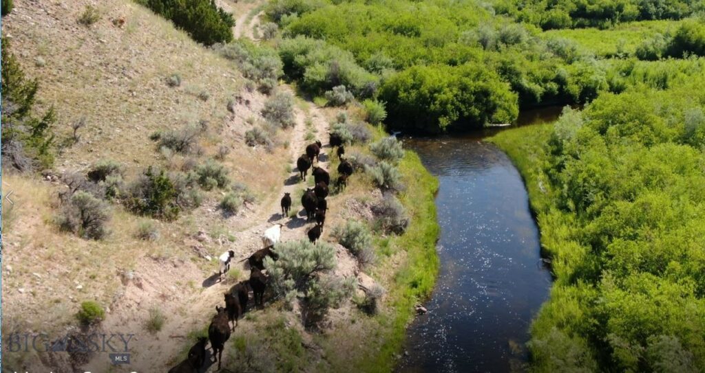 Rural Grasshopper Creek, Dillon MT 59725