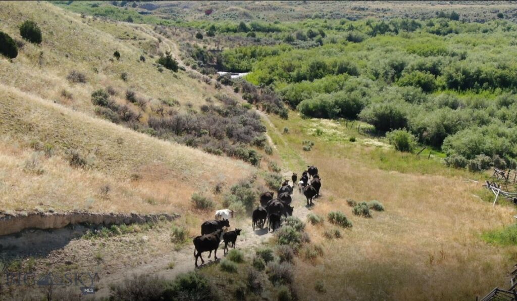 Rural Grasshopper Creek, Dillon MT 59725