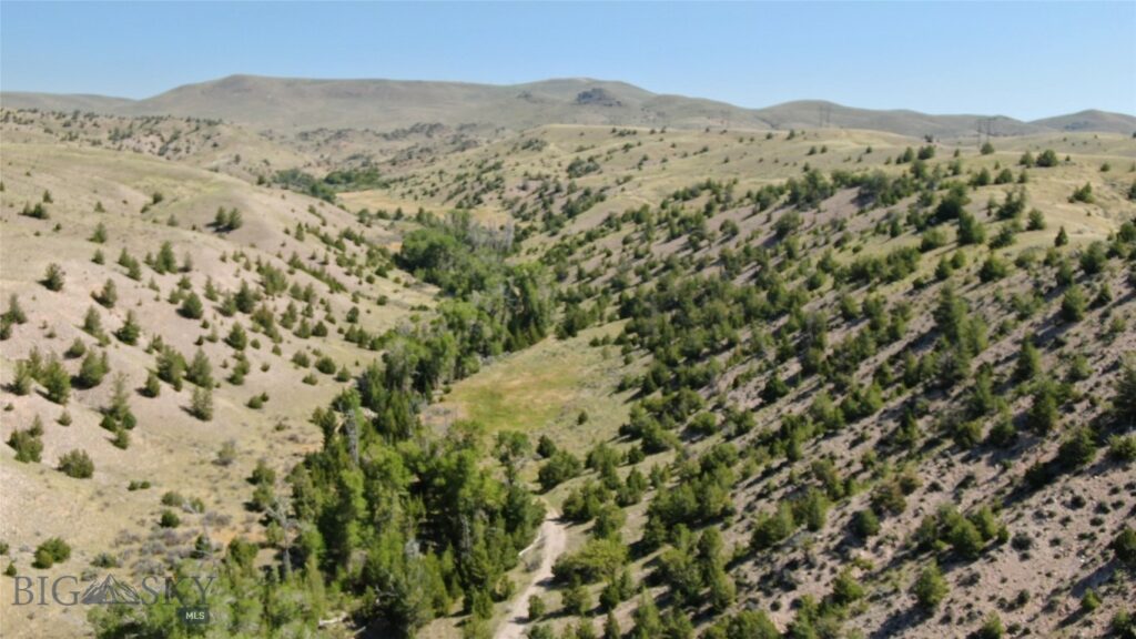 Rural Grasshopper Creek, Dillon MT 59725