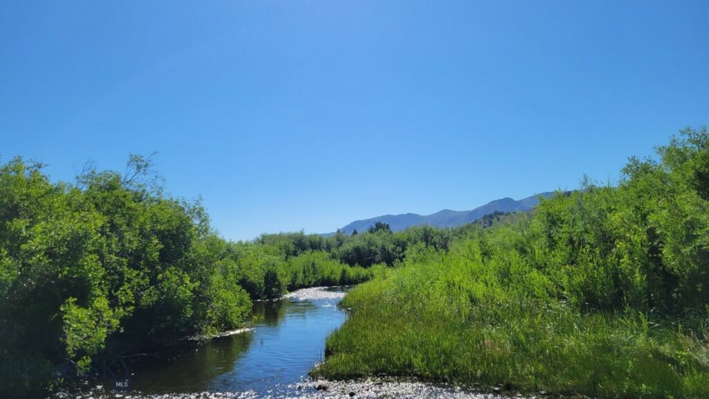 Rural Grasshopper Creek, Dillon MT 59725