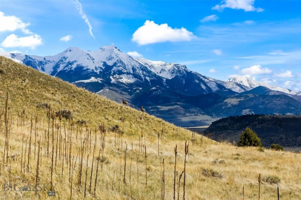 TBD Dry Creek Road S, Emigrant MT 59027