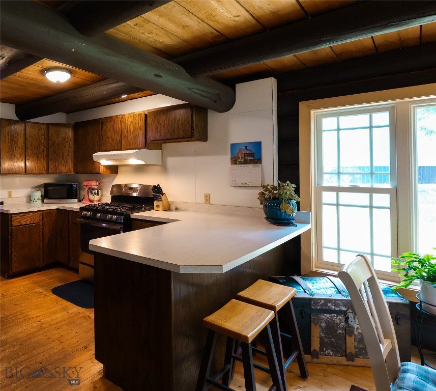 , Seeley Lake MT 59868