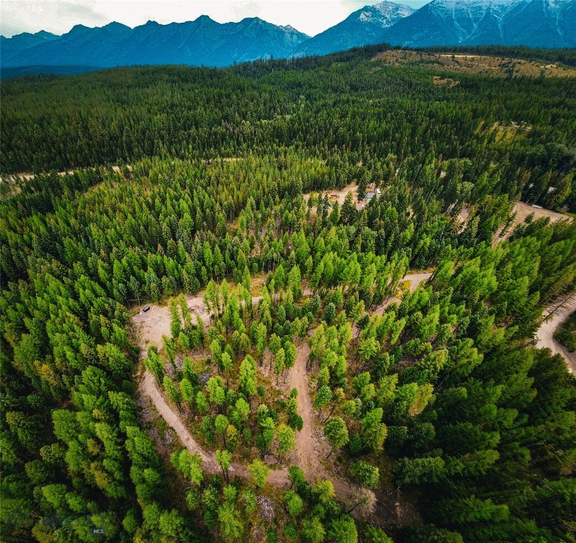 , Seeley Lake MT 59868