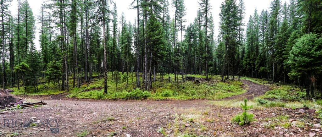 , Seeley Lake MT 59868