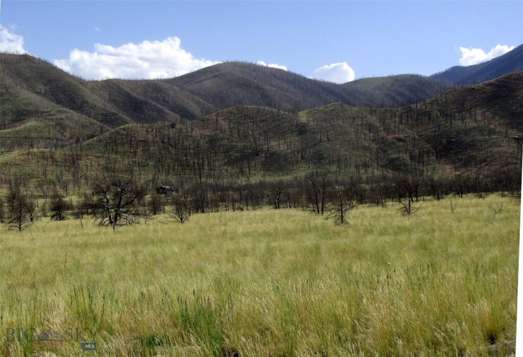 tbd Ranger Way, Red Lodge MT 59068