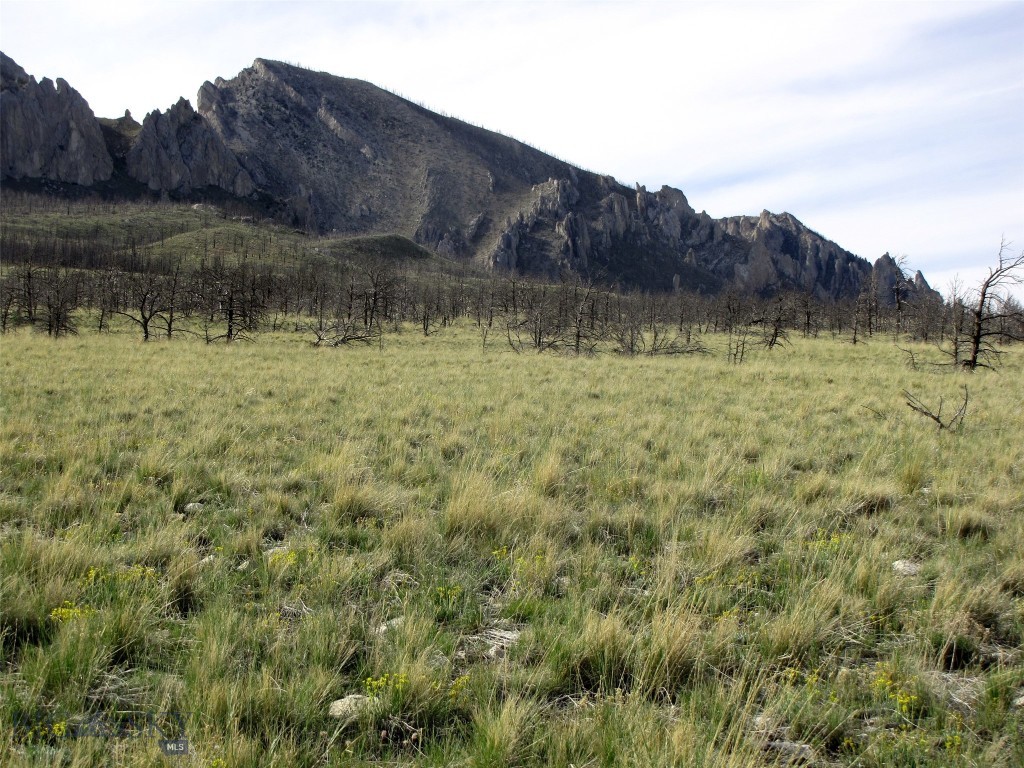 tbd Ranger Way, Red Lodge MT 59068