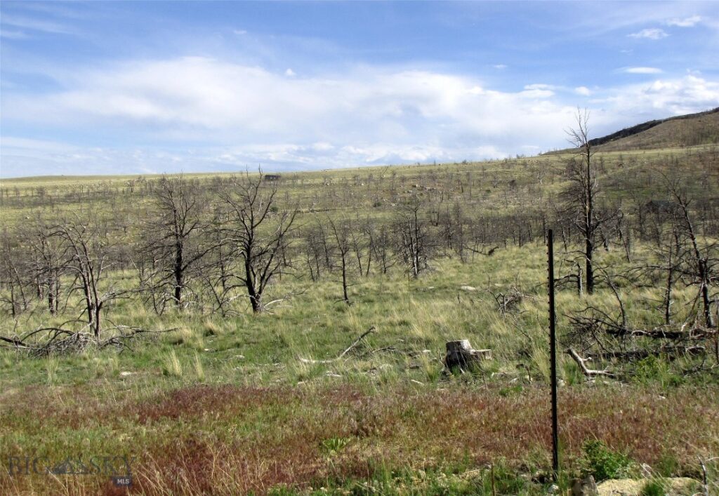 tbd Ranger Way, Red Lodge MT 59068