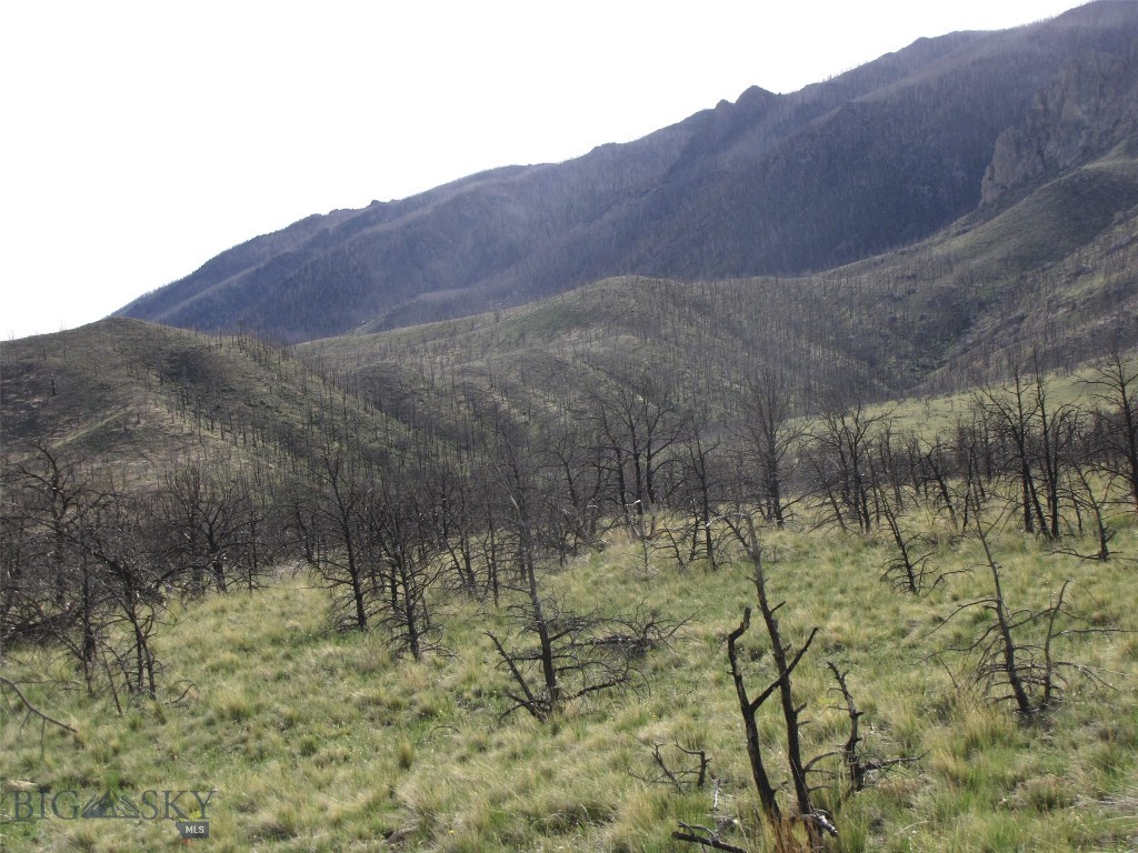 tbd Ranger Way, Red Lodge MT 59068