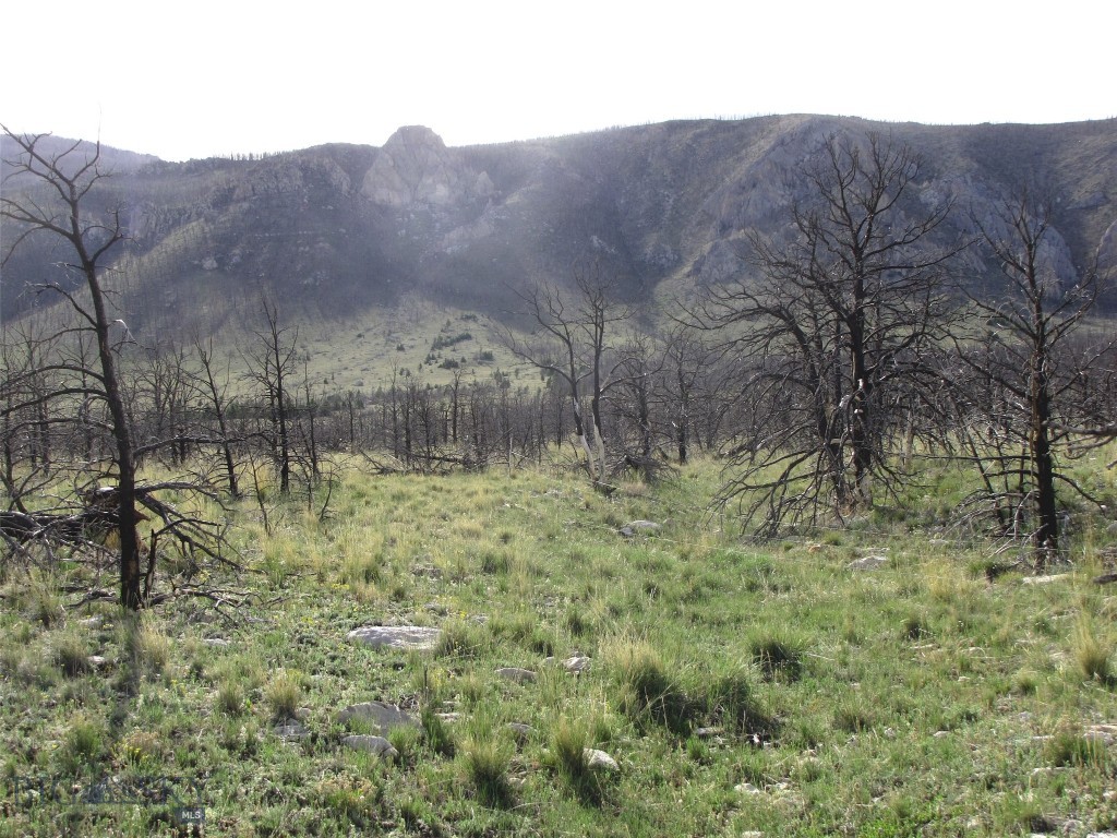 tbd Ranger Way, Red Lodge MT 59068