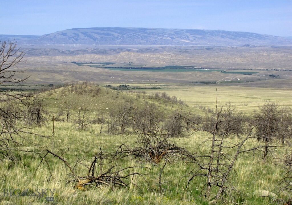 tbd Ranger Way, Red Lodge MT 59068
