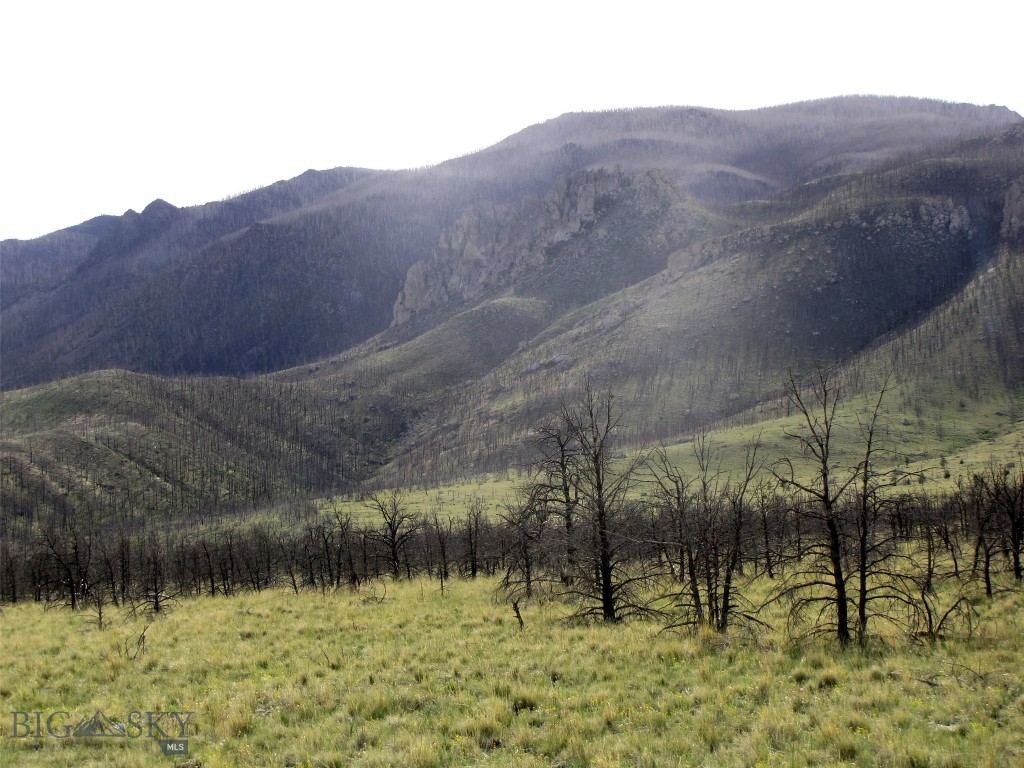 tbd Ranger Way, Red Lodge MT 59068