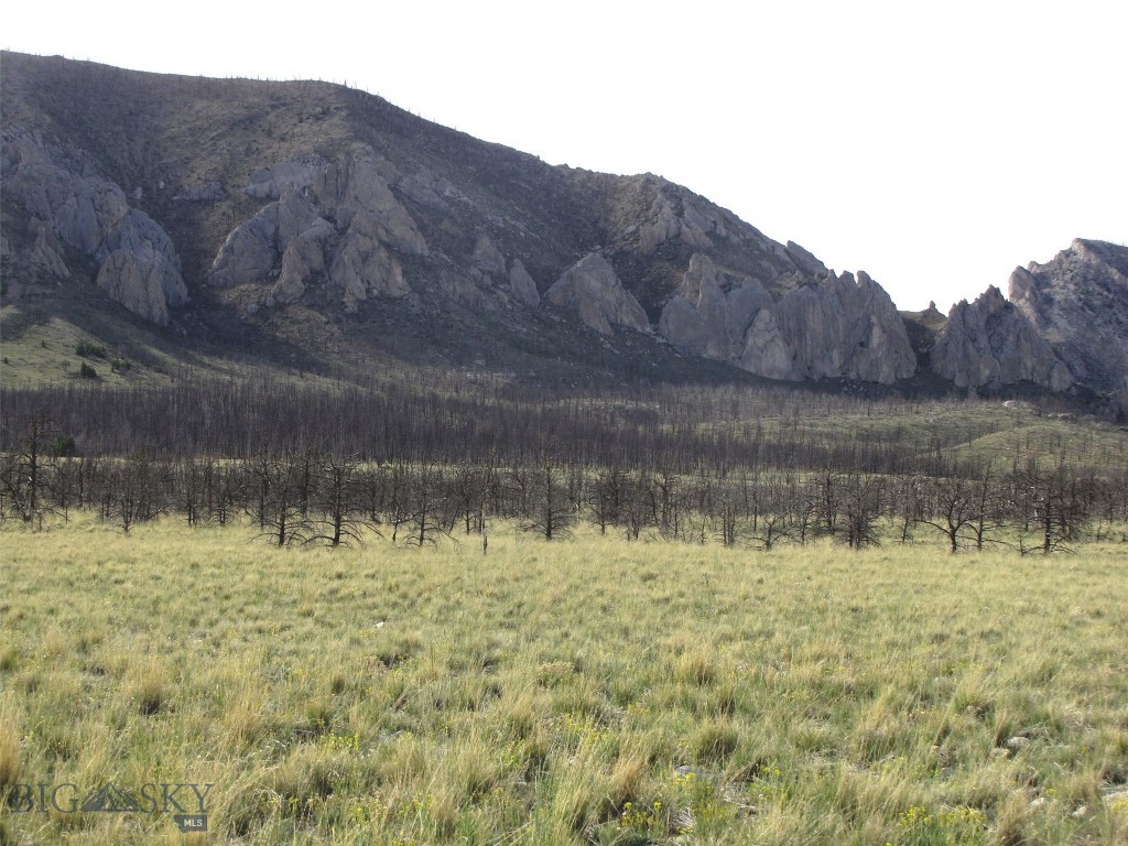 tbd Ranger Way, Red Lodge MT 59068