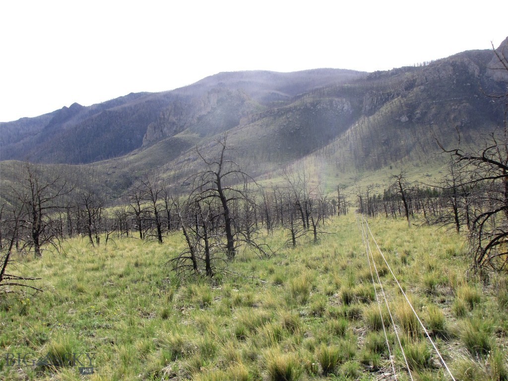 tbd Ranger Way, Red Lodge MT 59068