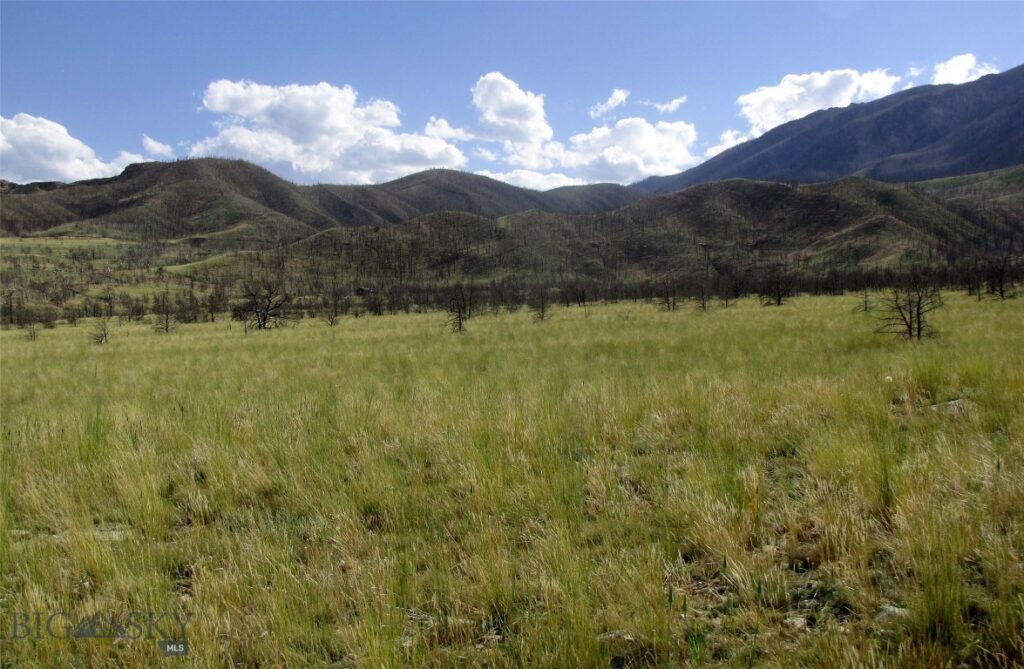 tbd Ranger Way, Red Lodge MT 59068