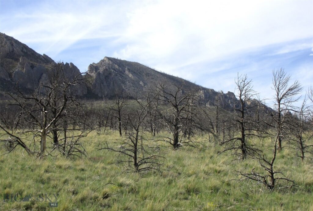 tbd Ranger Way, Red Lodge MT 59068