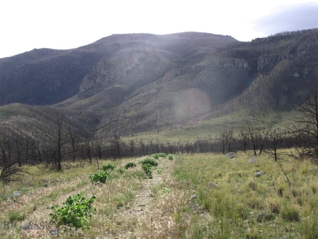 tbd Ranger Way, Red Lodge MT 59068