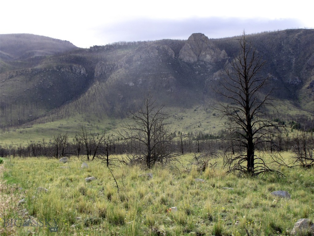 tbd Ranger Way, Red Lodge MT 59068