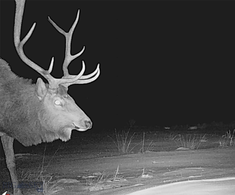 tbd Ranger Way, Red Lodge MT 59068