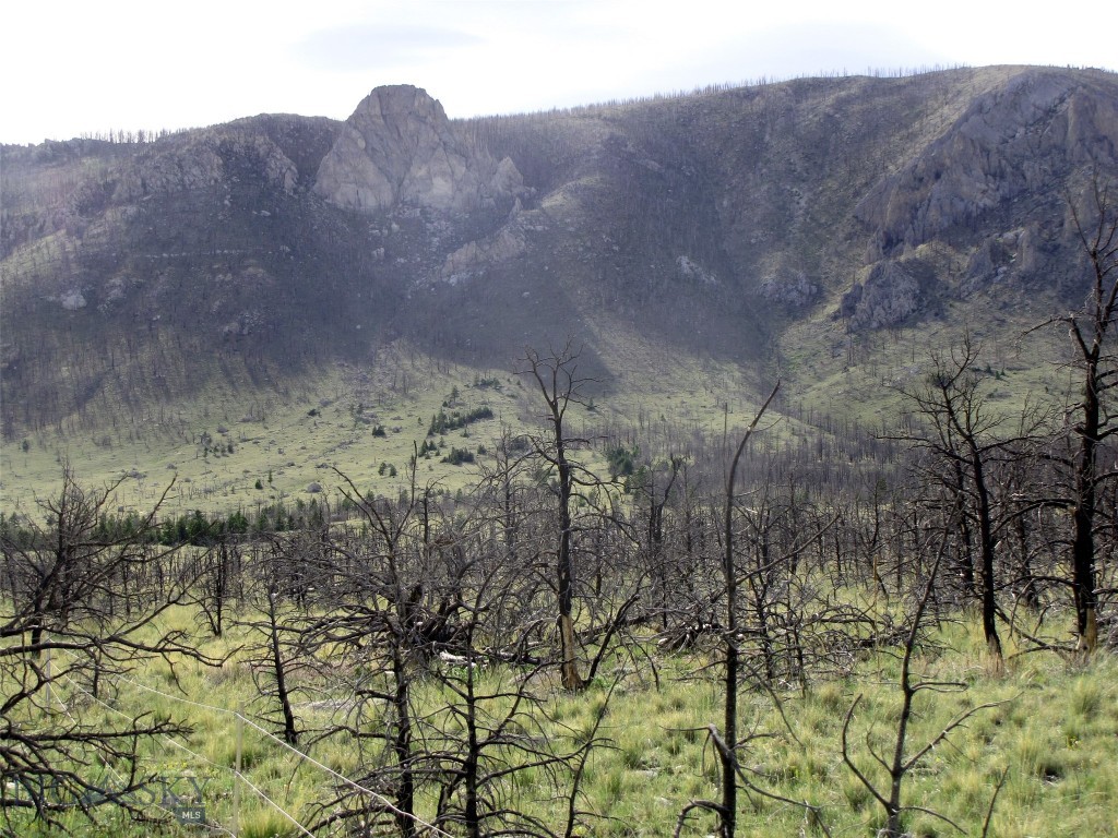 tbd Ranger Way, Red Lodge MT 59068