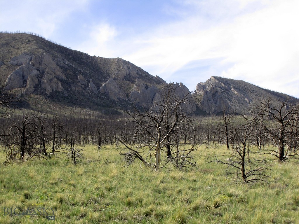 tbd Ranger Way, Red Lodge MT 59068