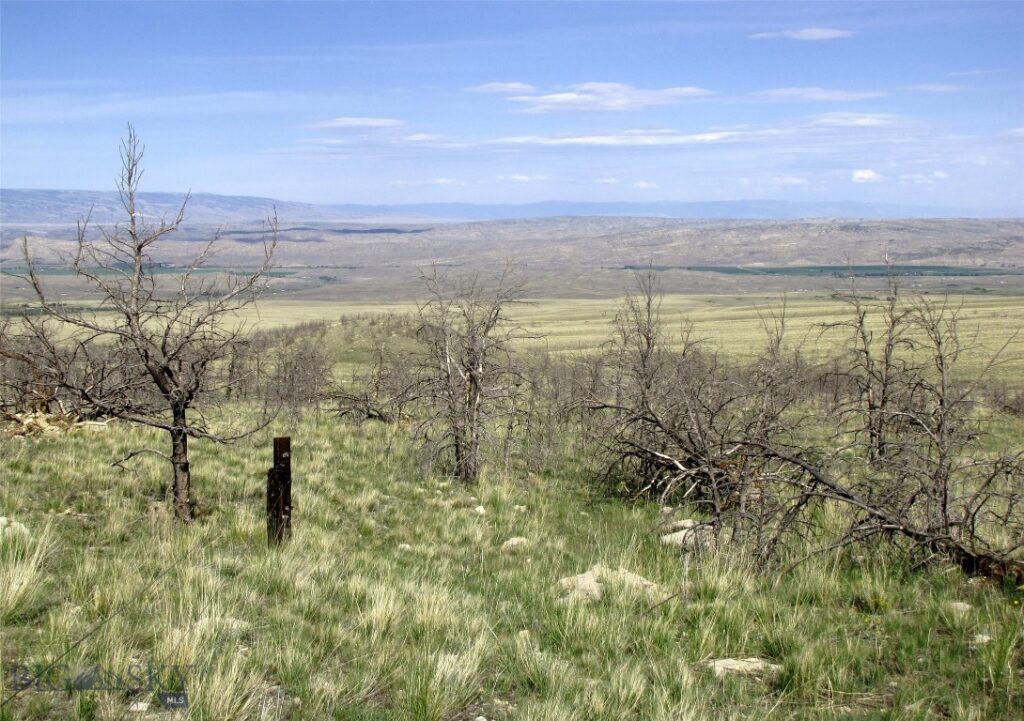 tbd Ranger Way, Red Lodge MT 59068