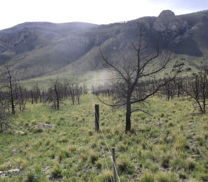 tbd Ranger Way, Red Lodge MT 59068