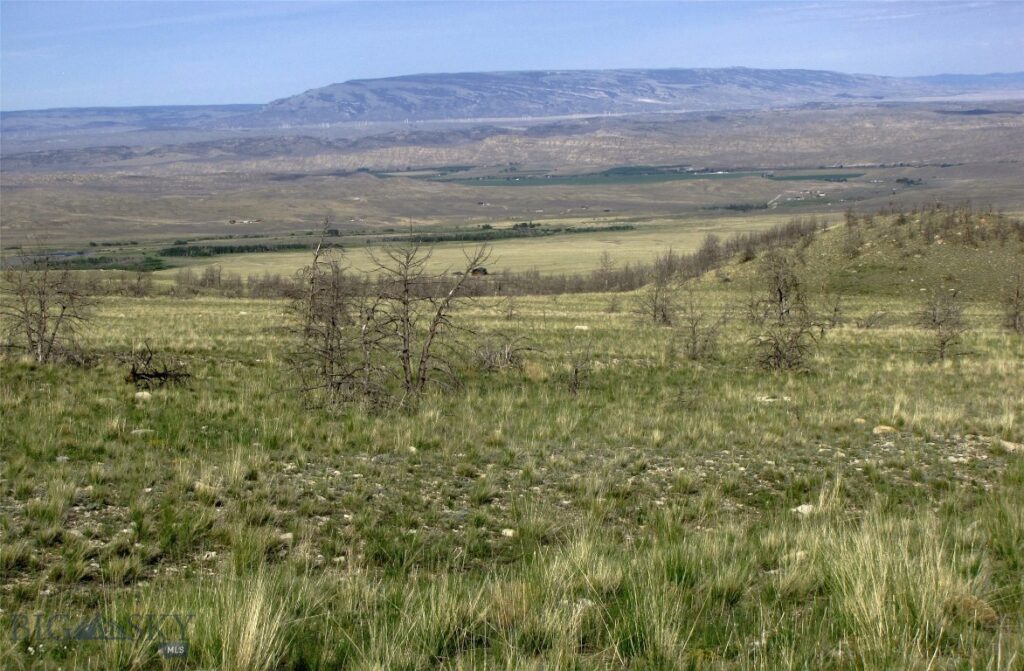 tbd Ranger Way, Red Lodge MT 59068