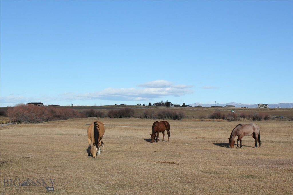 TBD Blacktail Rd, Dillon MT 59725