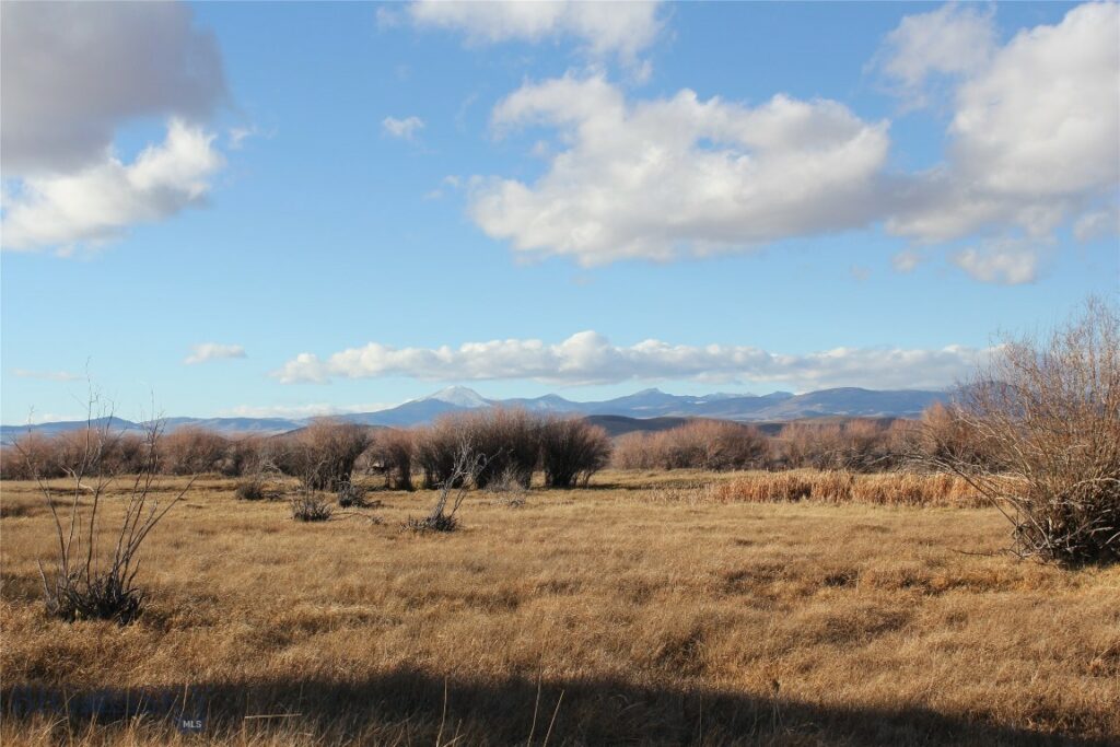 TBD Blacktail Rd, Dillon MT 59725
