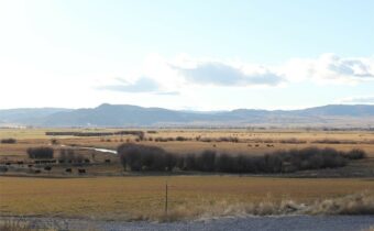 TBD Blacktail Rd, Dillon MT 59725