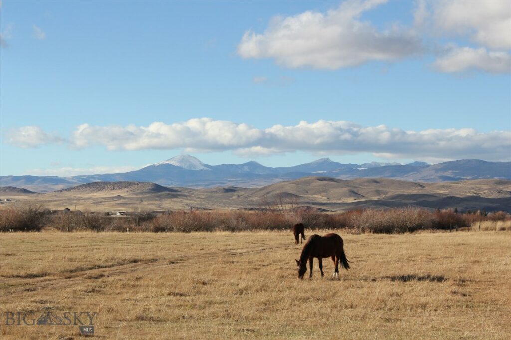 TBD Blacktail Rd, Dillon MT 59725