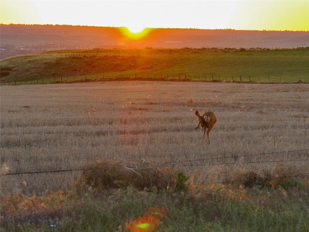 TBD Grandkids Way, Laurel MT 59044