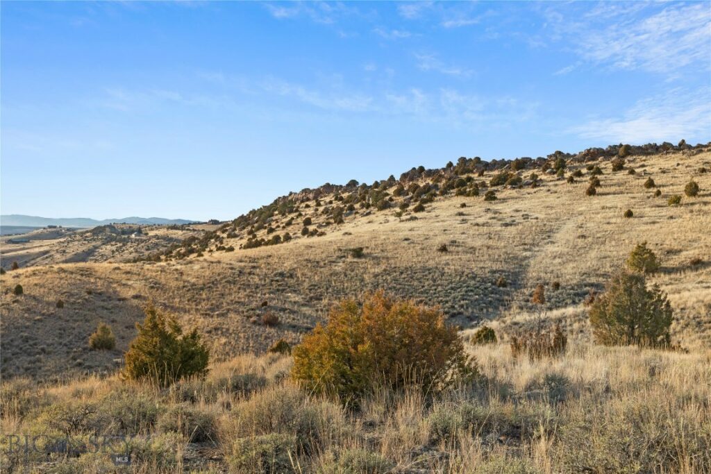 TBD Horse Castle Road, Manhattan MT 59741