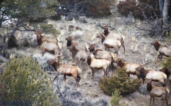 TBD Horseshoe Cottonwood Rd., Manhattan MT 59741