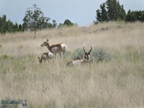 TBD Horseshoe Cottonwood Rd., Manhattan MT 59741