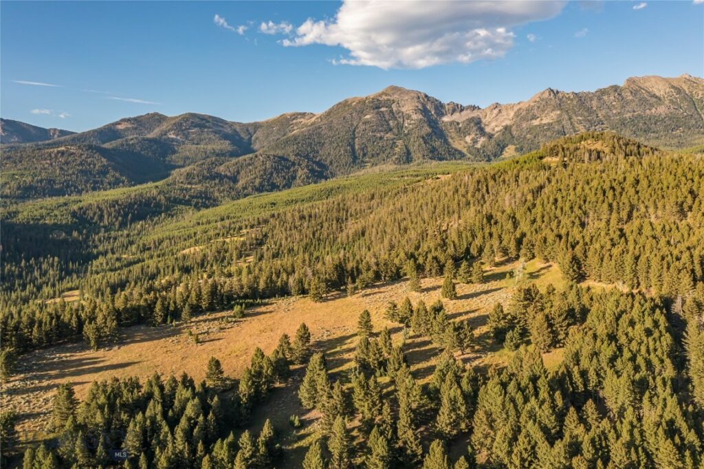 TBD Jack Creek Road, Moonlight Territory Parcel 5, Big Sky MT 59729