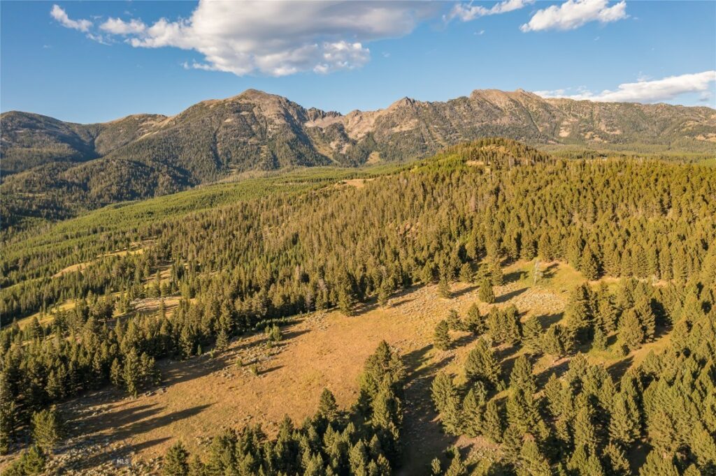 TBD Jack Creek Road, Moonlight Territory Parcel 5, Big Sky MT 59729