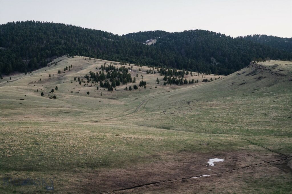TBD Livingston Peak Road, Livingston MT 59047
